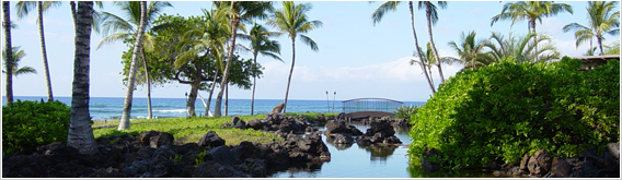 Click here to return to the Kona Condo Rental Home Page