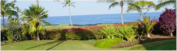 Click here to return to the Kona Condo Rental Home Page