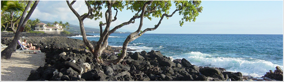 Click here to return to the Kona Condo Rental Home Page